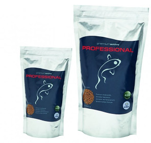 FIAP PROFESSIONAL 