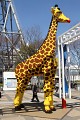Legolandy ... Ale ta žirafka se jim povedla, jako živá ...