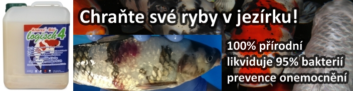 Chraňte své KOI před chorobami!