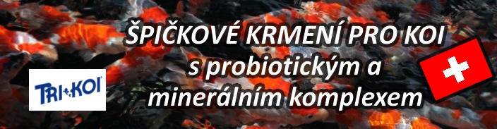 TRI KOI _ švýcarská kvalita za rozumnou cenu