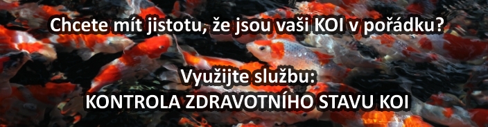 Ujistěte se, že jsou vaši KOI v pořádku!