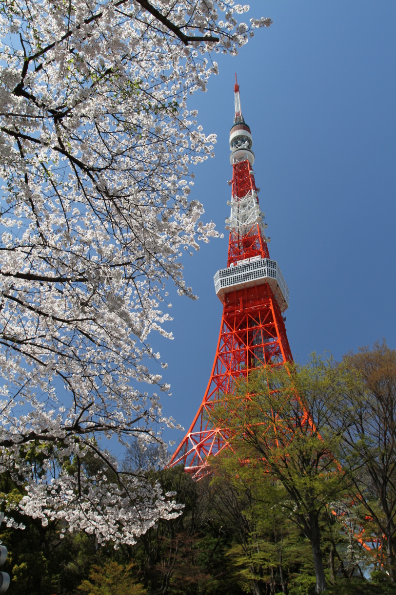 Tokio Tower