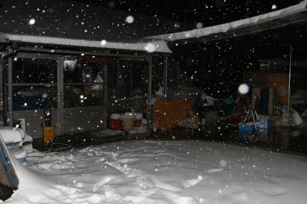 Loučíme se s Minuma KOI Farm, zasypanou sněhem ...