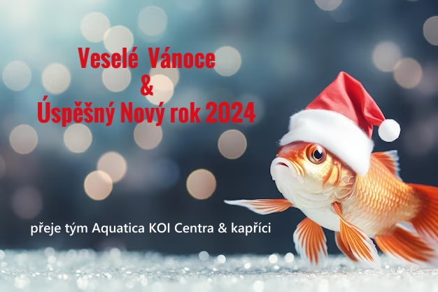 Aquatica KOI Centrum přeje Veselé Vánoce 2024