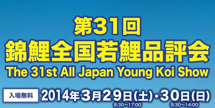 All Japan Young Koi Show 2014