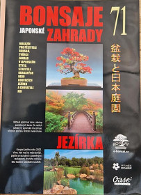 Bonsaje a japonské zahrady 71