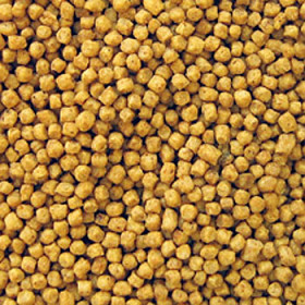 KOI Wheat Germ 6 mm, 1 kg / rozvážené