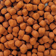 Krmení na barvu Orange 3mm, 15kg  