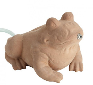 FIAP Deco Active Frog