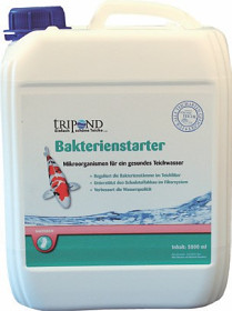 Bakterien Starter