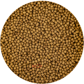 KOI Wheat Germ 6 mm, 1 kg / rozvážené