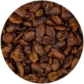 Bourec morušový Silkworms 5 l / 1,5 kg