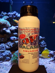 Malamix 19 Aquarium