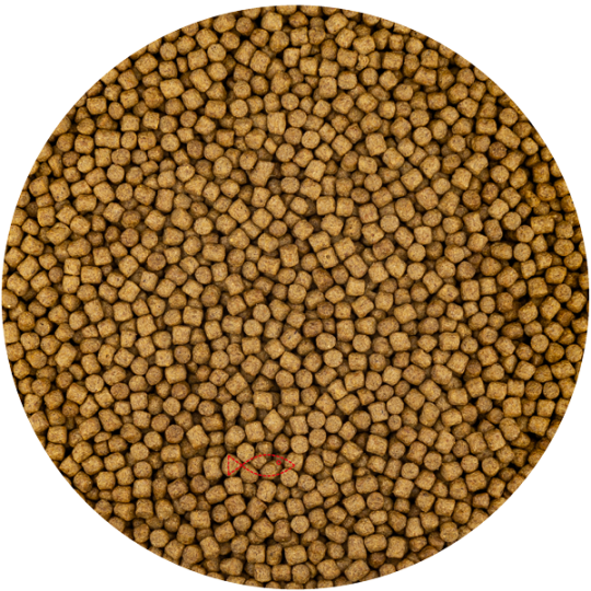 Krmení pro KOI Wheat Germ 3 mm 1 kg
